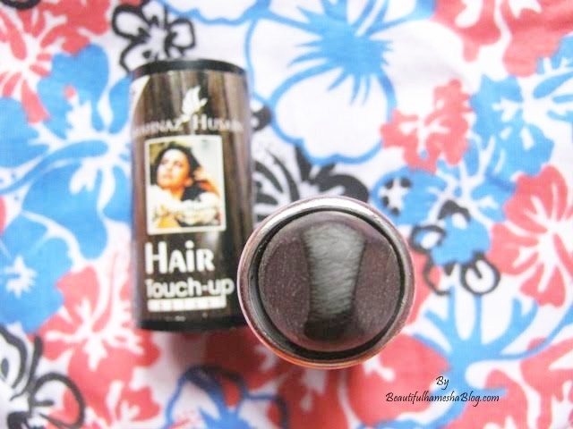 Shahnaz Husain Instant Hair Touch Up Review