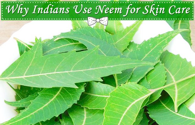 Why Indians Use Neem for Skin Care