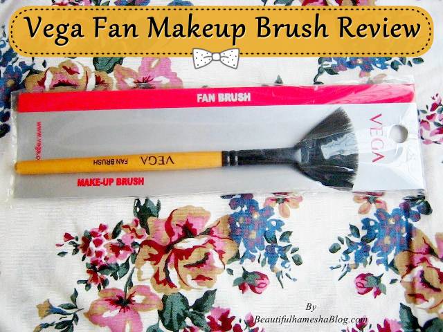 Vega Fan Makeup Brush Review