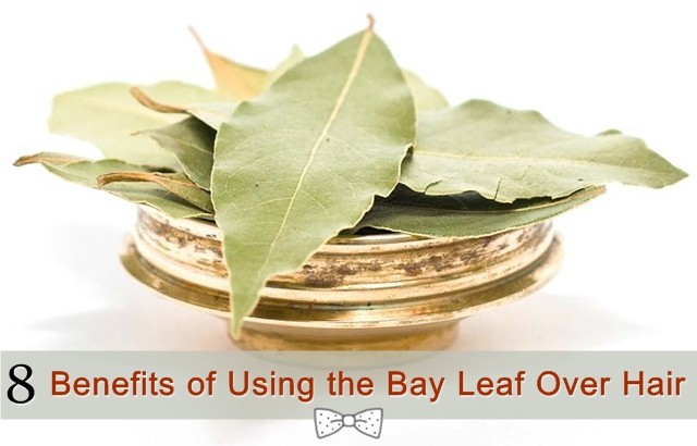8 Benefits of Using the Bay Leaf Over Hair