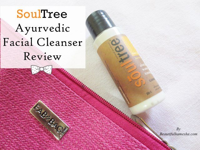 SoulTree Ayurvedic Facial Cleanser Review