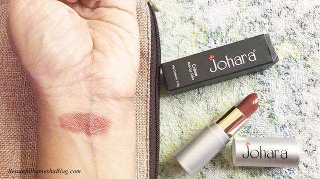 Johara Creme Rich Lip Color Cocoa delight Swatch, My June 2017 Fab Bag, June 2017 Fab Bag, Fab Bag
