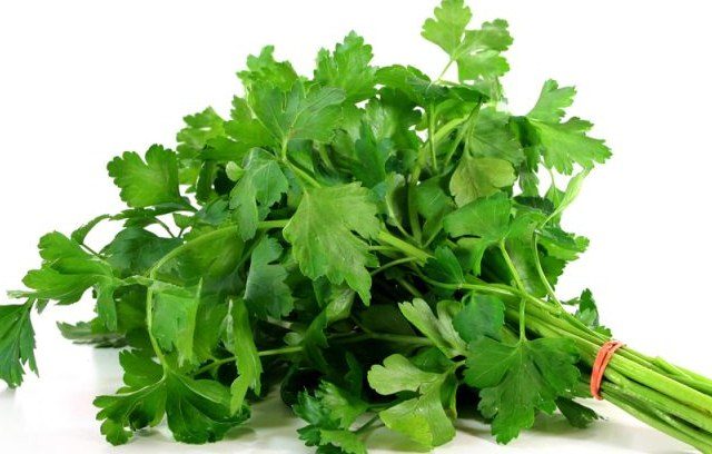 Benefits of Parsley 2, parsley benefits for health, parsley for hair, parsley for skin