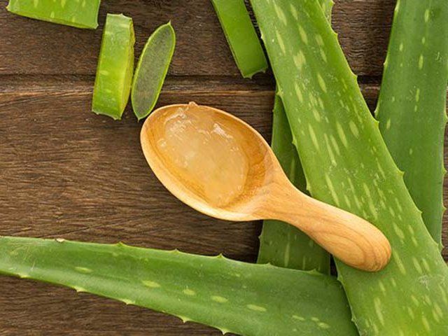 List of Best Aloe Vera Gel Available in Indian Market